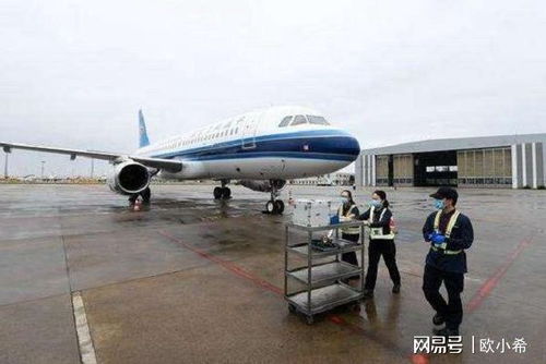 國門為同胞而開，航空服務(wù)筑牢防疫長城